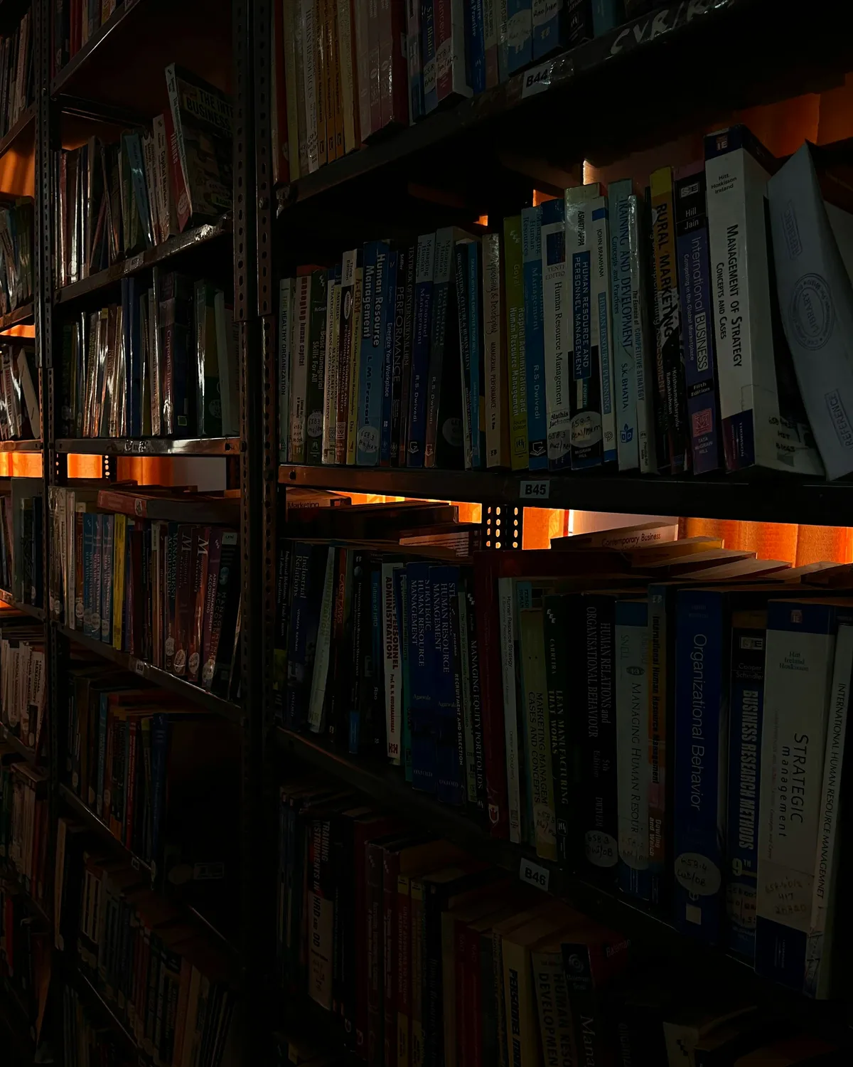 Dim bookshelves packed with books, with warm orange light behind the shelves